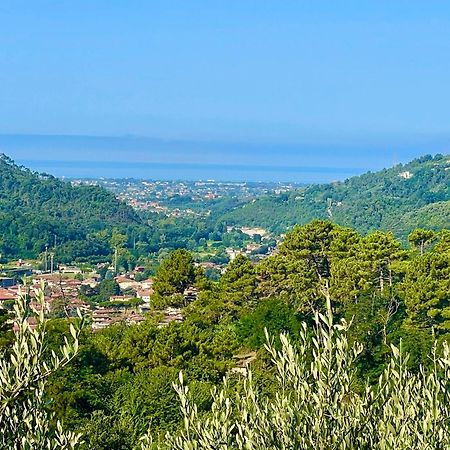 Casa Del Sole Bed & Breakfast Camaiore Eksteriør bilde