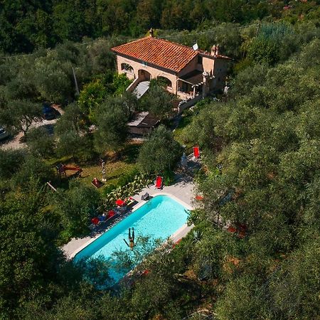 Casa Del Sole Bed & Breakfast Camaiore Eksteriør bilde