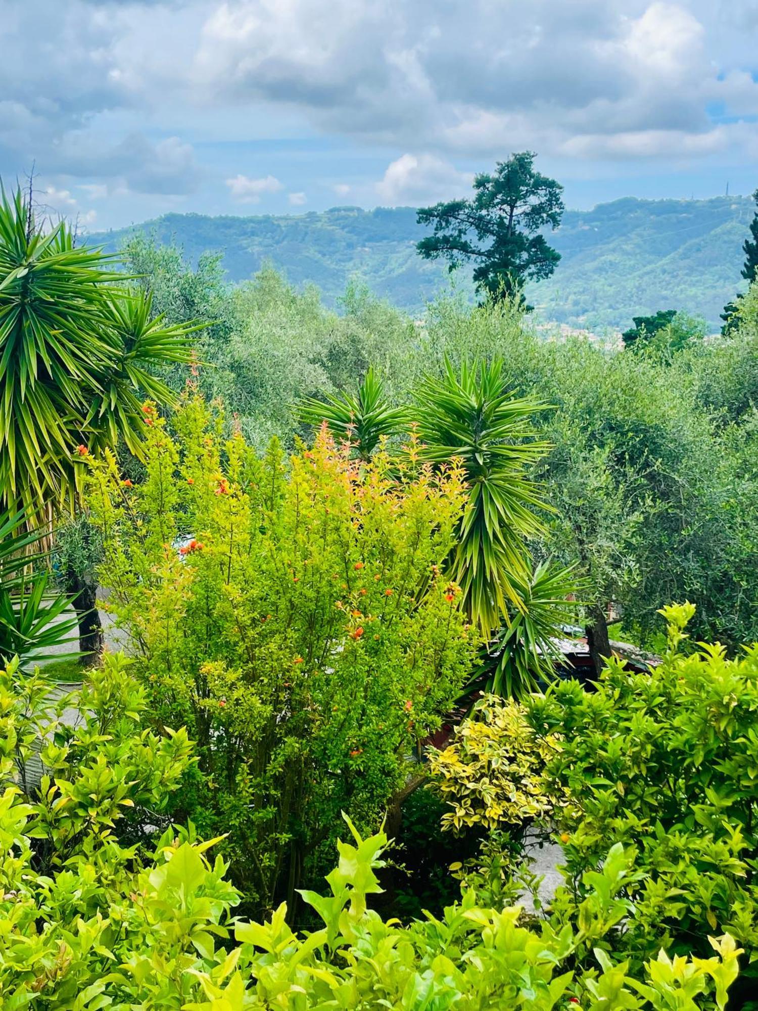 Casa Del Sole Bed & Breakfast Camaiore Eksteriør bilde