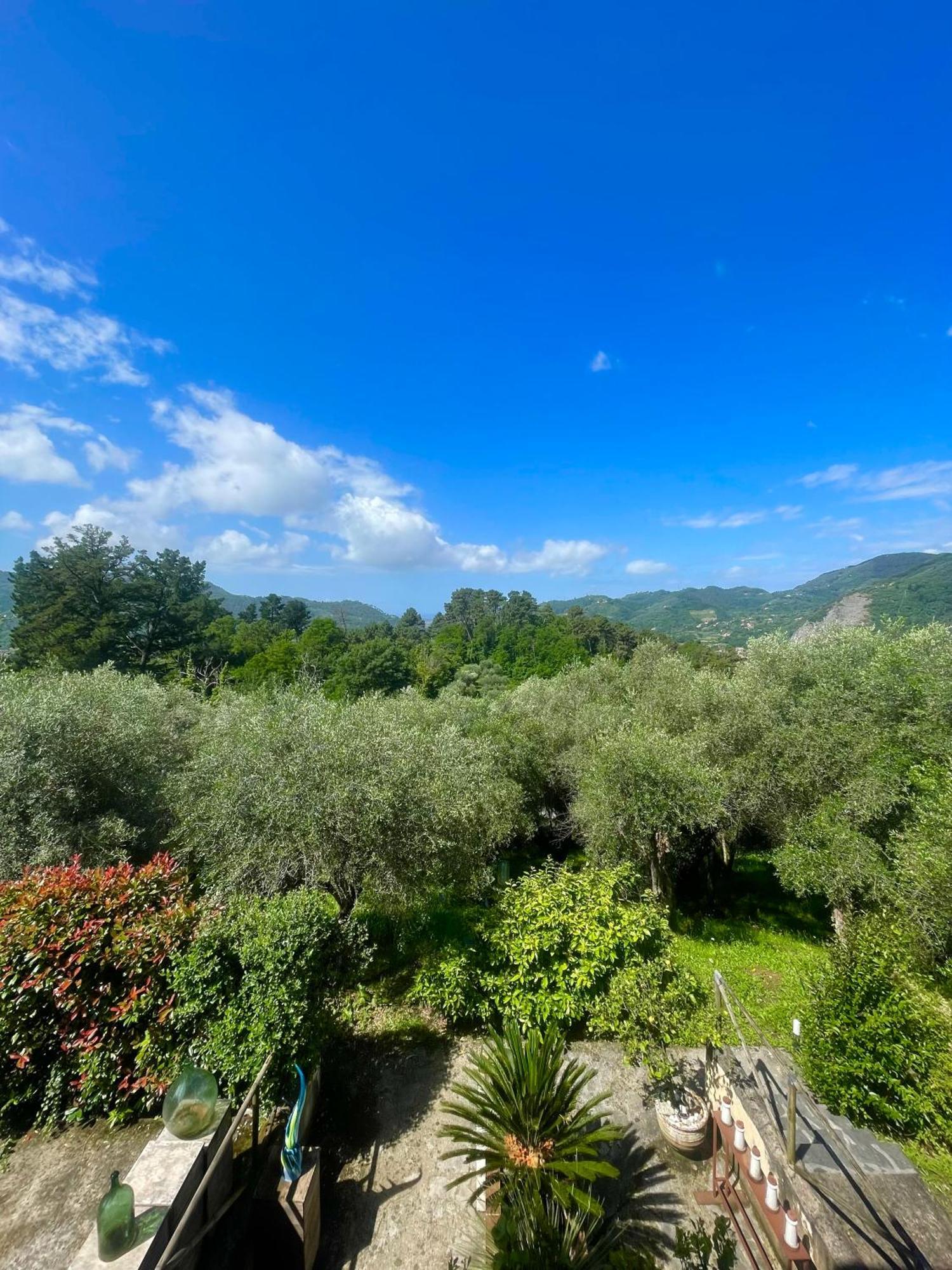 Casa Del Sole Bed & Breakfast Camaiore Eksteriør bilde